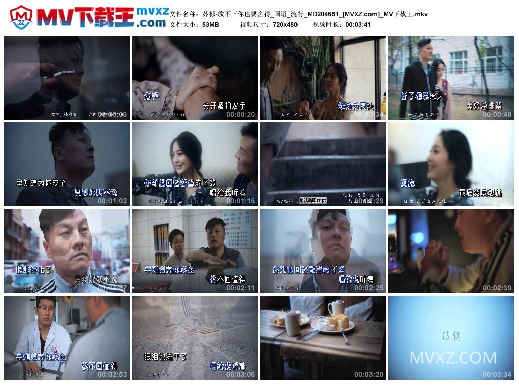 苏栎-放不下你也要舍得_国语_流行_MD204681